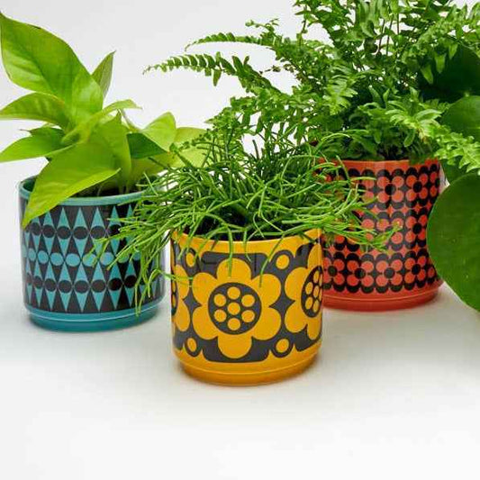 Hornsea - Yellow Plant Pot - Geo Flower - Small