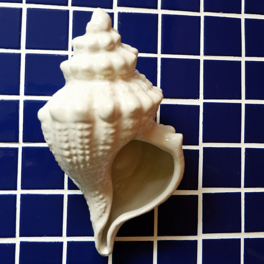 Vintage | Ceramic Shell Planter