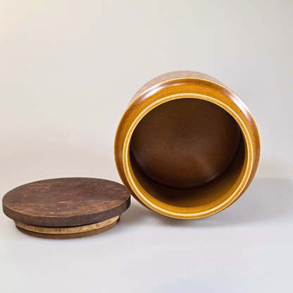 Vintage Hornsea | Small Salt Canister - Saffron - Yellow and Pink