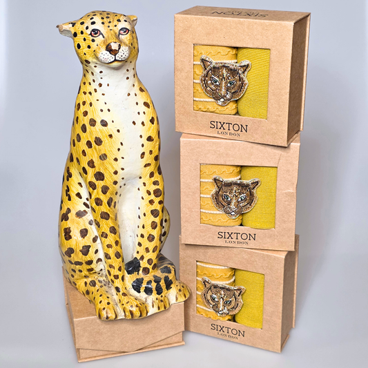 Sock box duo with Tiger Head Brooch - Sunshine Lyon & Sienna
