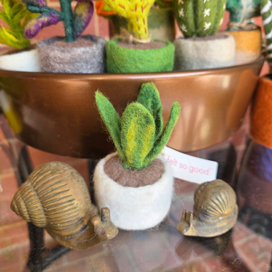 Sansevieria - Hand Felted - Artificial Plant Decoration - Small
