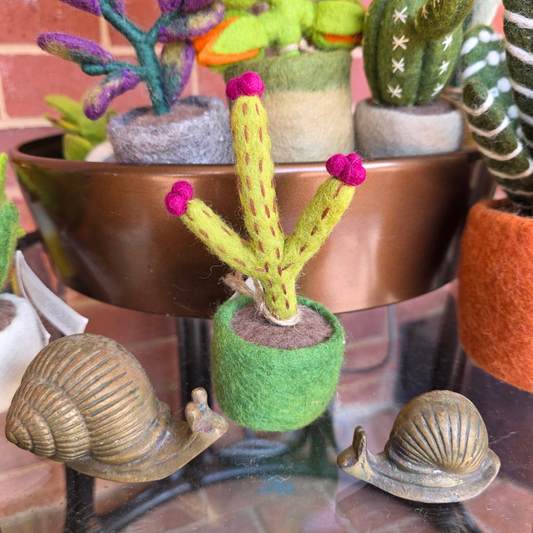 Hedgehog Cactus - Hand Felted -Artificial Plant Decoration - Small