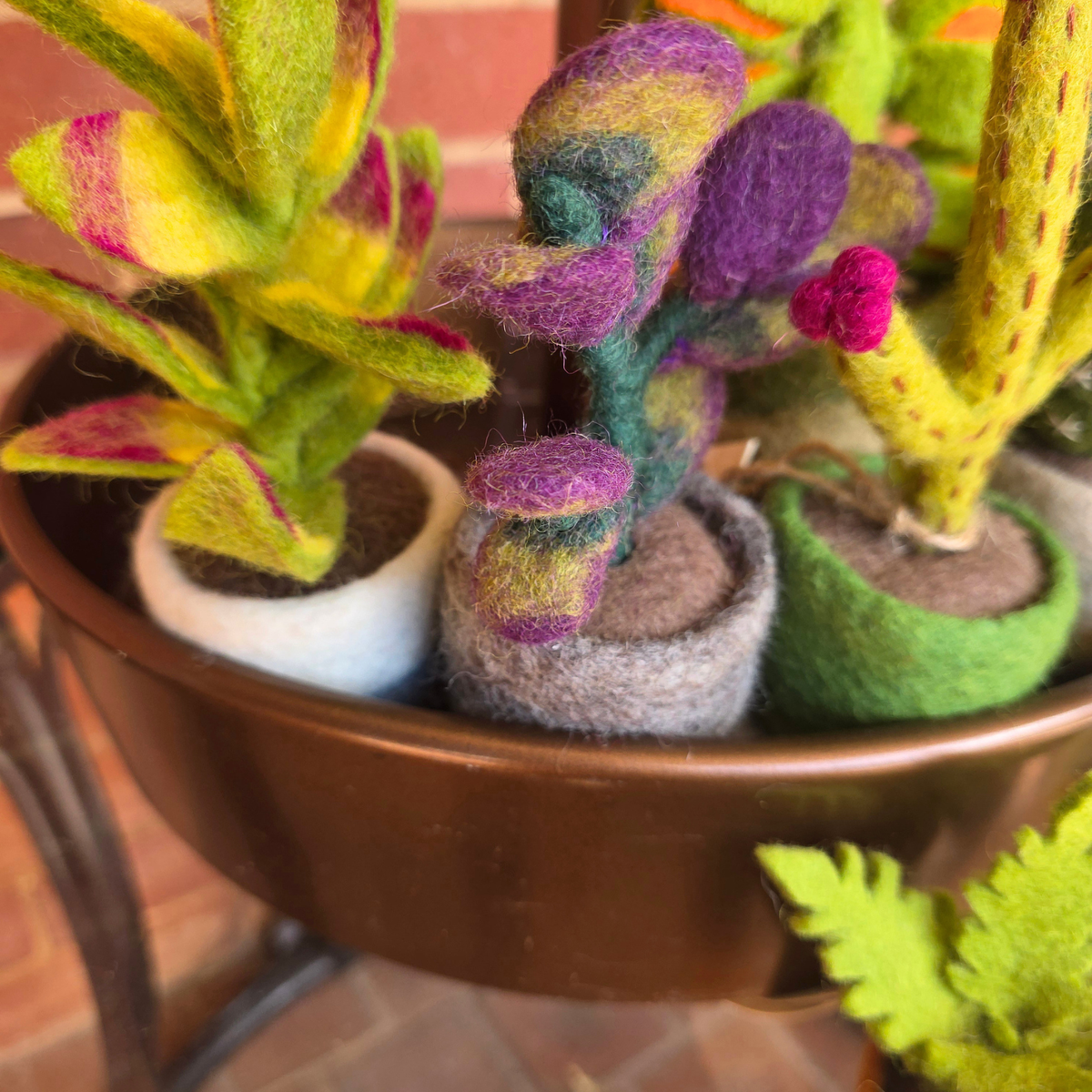 Ficus Elastica - Hand Felted - Artificial Plant Decoration - Small