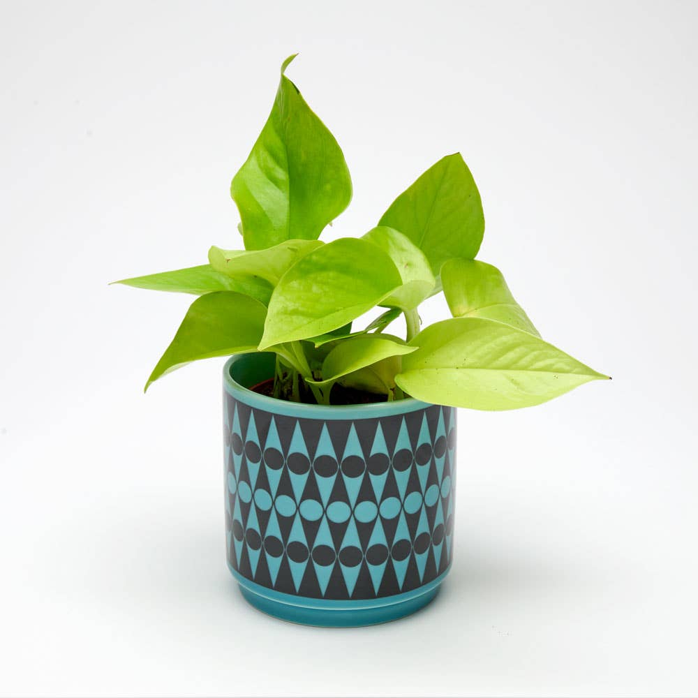 Hornsea - Teal Plant Pot -  Backgammon - Small