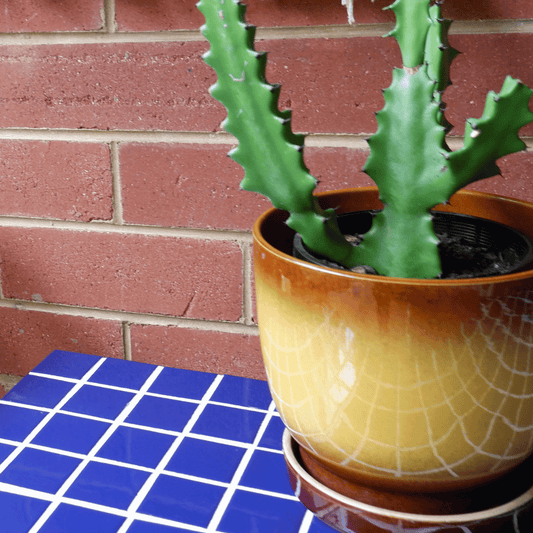 The Blue Tile Table - FERN Ceramics