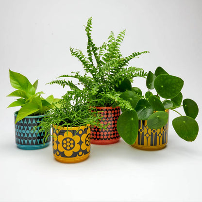 Hornsea - Medium Planty - Plant Pot - Geo Chartreuse - FAWNE