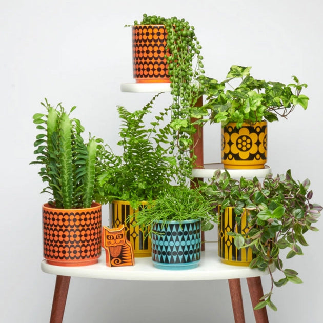 Table with potted plants on a white background