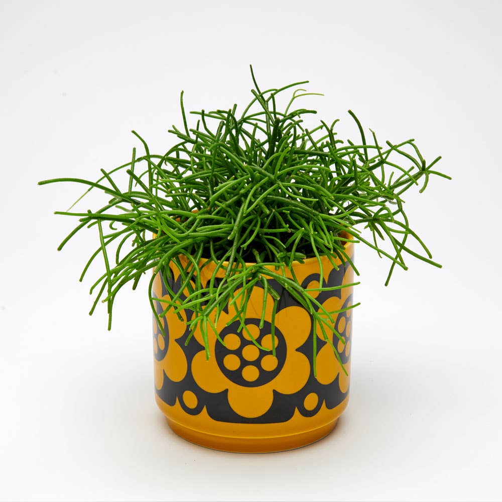 Hornsea - Small Planty - Plant Pot Geo Flower Yellow