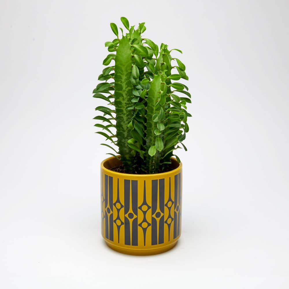 Hornsea - Medium Planty - Plant Pot - Geo Chartreuse